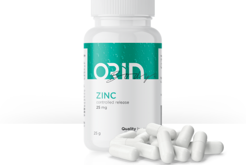 ORIN ZINEK
