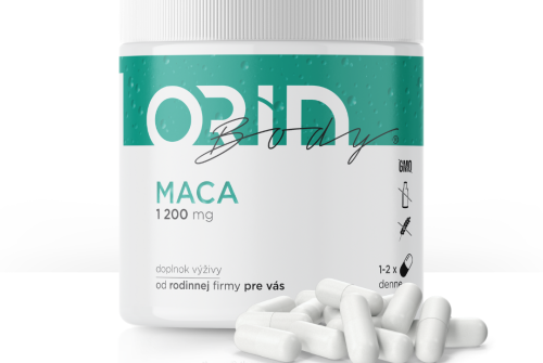 ORIN MACA
